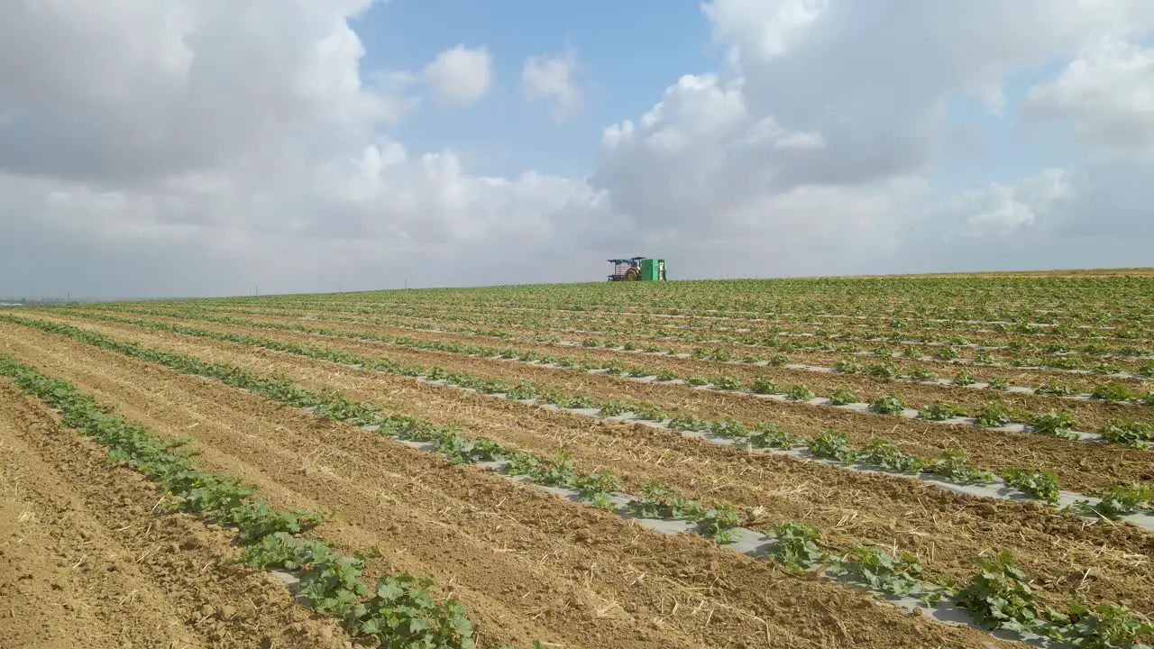 aerial down shot of field crops at sdot negev israel