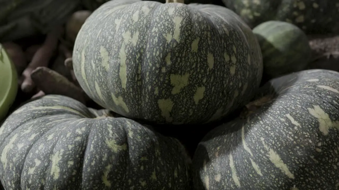 fresh pumpkin at vegetable store for sale at evening