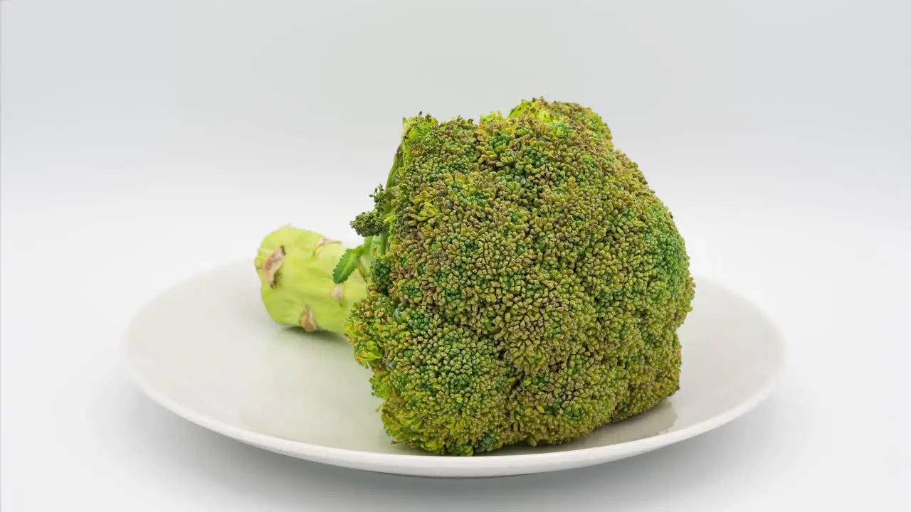 Rotting broccoli time-lapse 40 days in 25 seconds