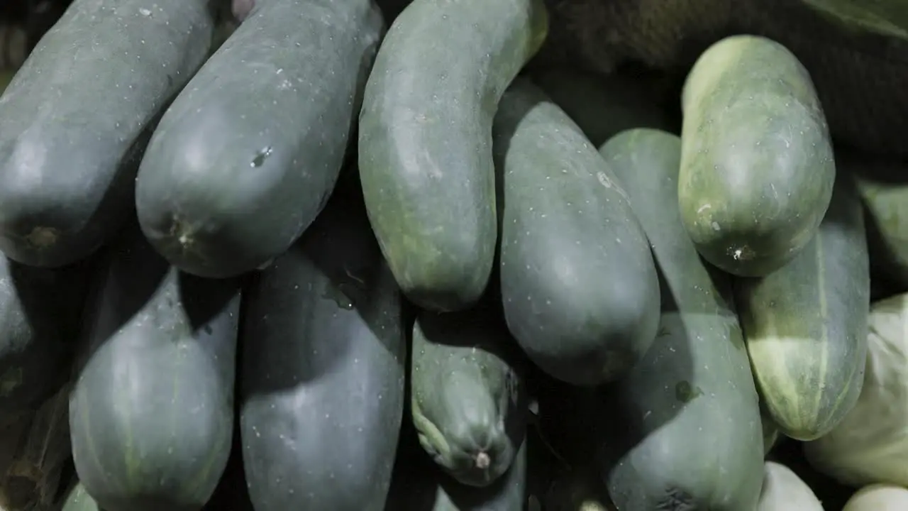 fresh cucumber at vegetable store for sale at evening