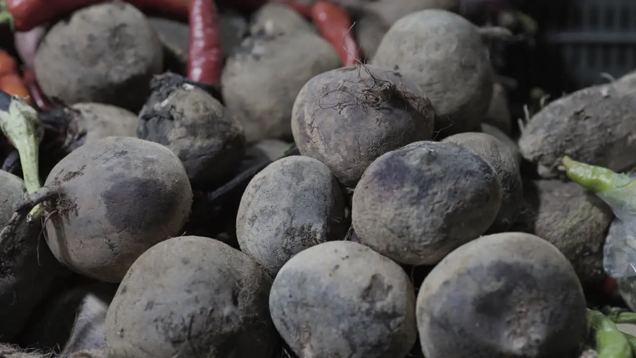 fresh beetroots at vegetable store for sale at evening