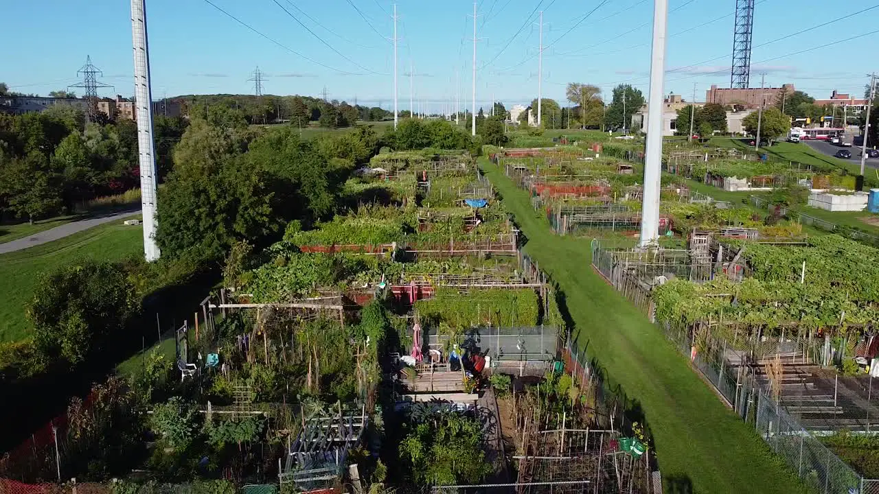 Large urban community garden allotments in international city for food growth