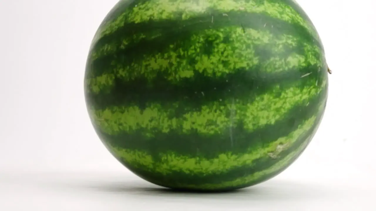 Whole ripe green striped fresh watermelon being dropped onto white table top and bouncing up and down in slow motion