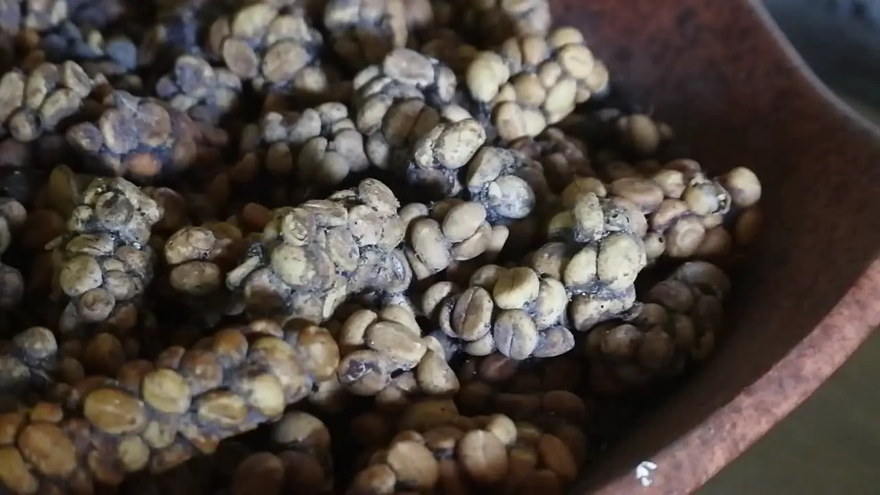 Shot of Original Indonesian Luwak coffee beans that have been dried