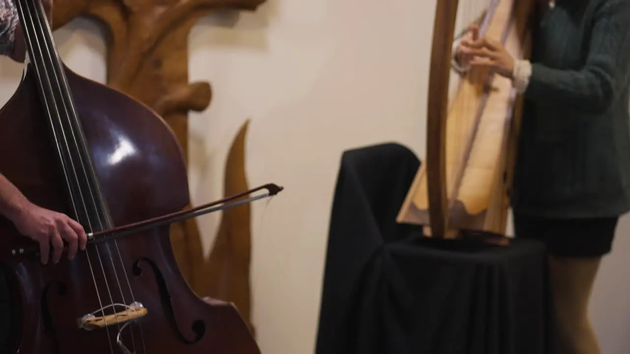 Cello and Harp in Hands of Musicians