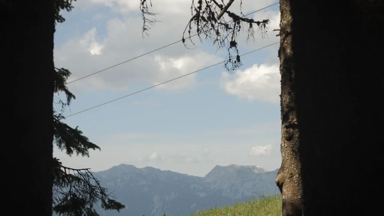 Cable cars gliding between trees with mountain backdrop in daylight