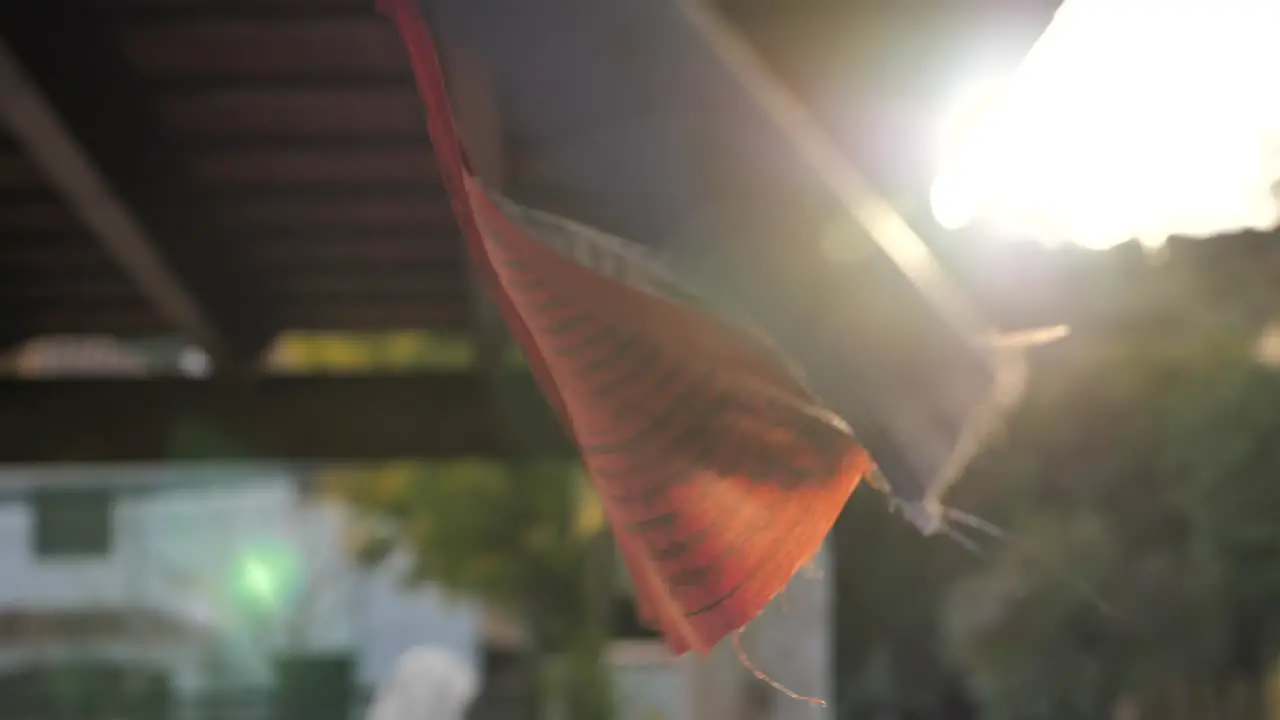 Buddhist nepali flags waving with soft wind in a terrace at sunset slow motion