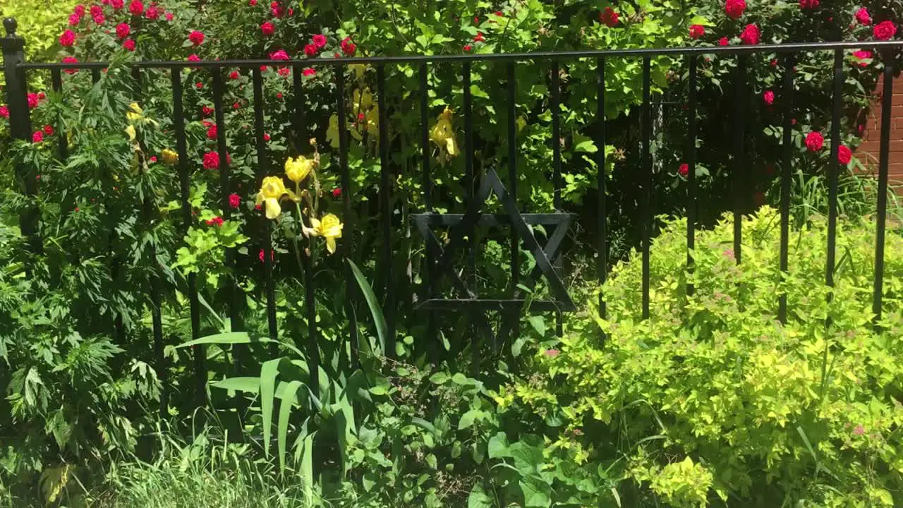 Star of David on fence surrounded by flower bushes