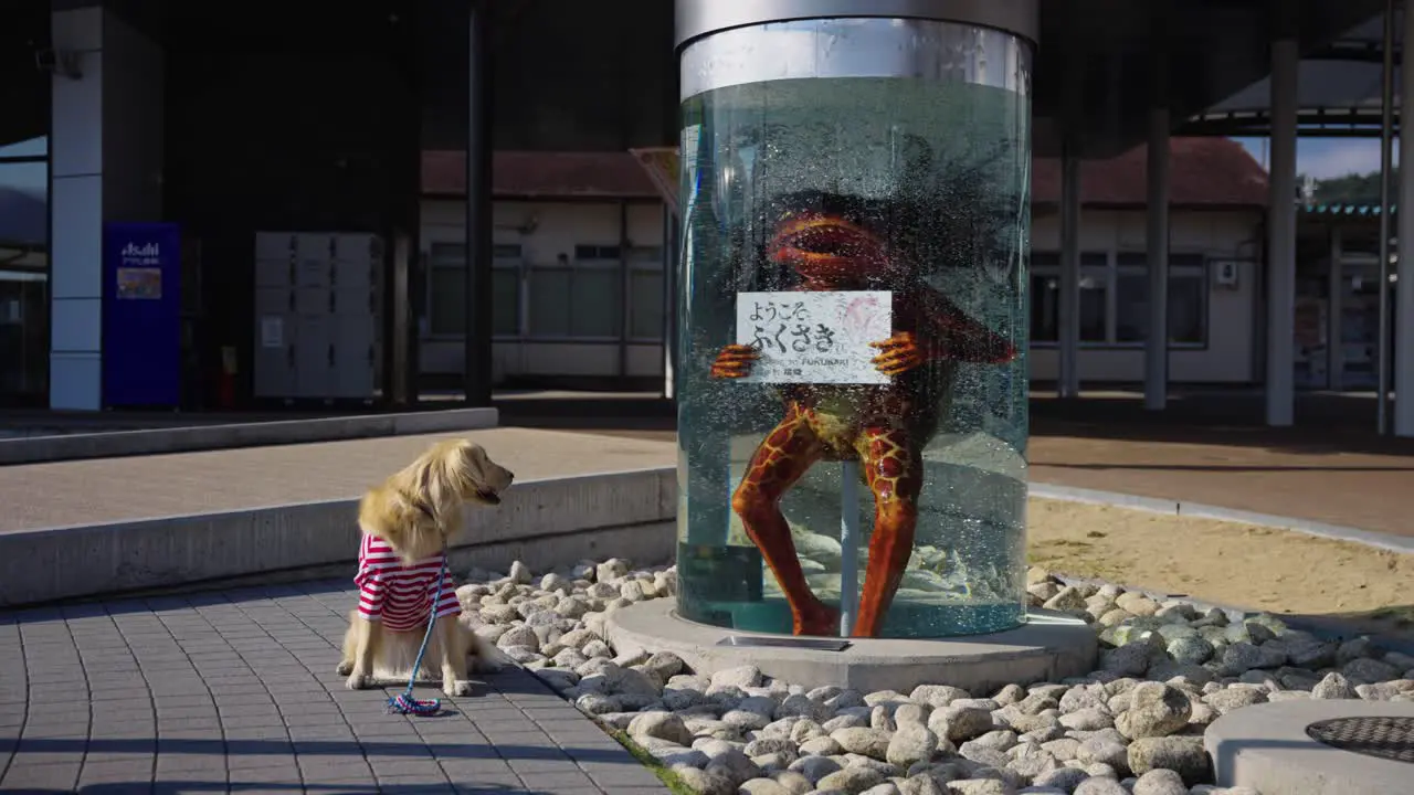 Yokai Monster Appears from Water Tank at JR Fukusaki Station