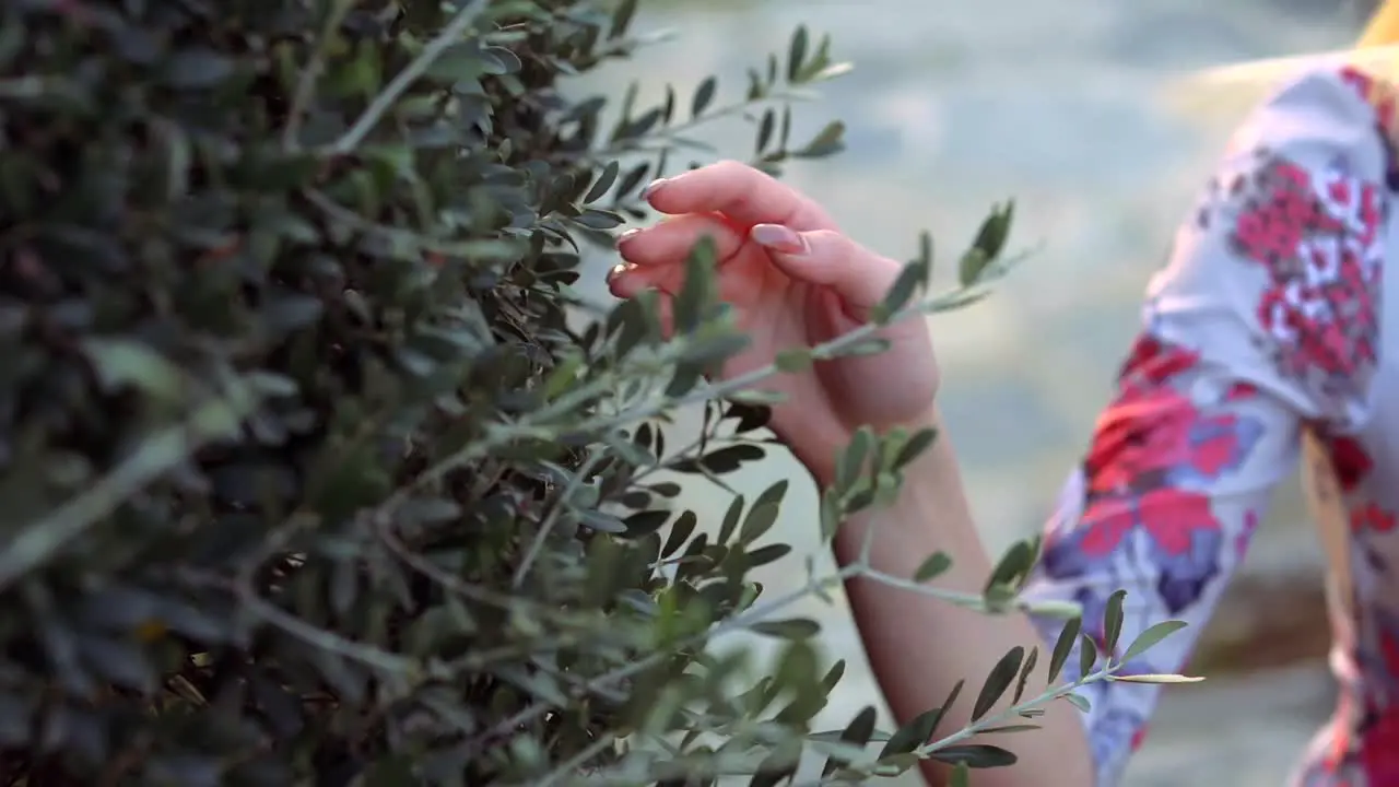 female model touching olive branches with her hand