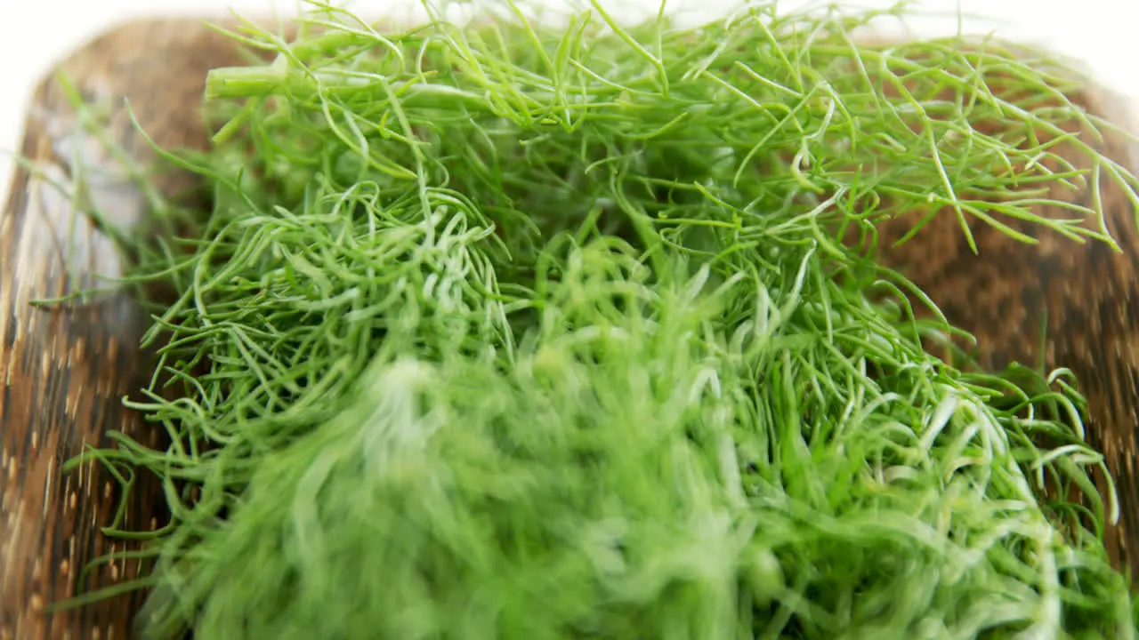 Dill herb in wooden tray 4k