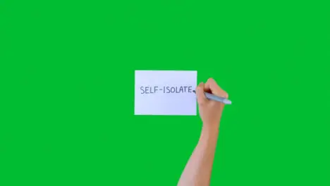 Woman Writing Self Isolate on Paper with Green Screen