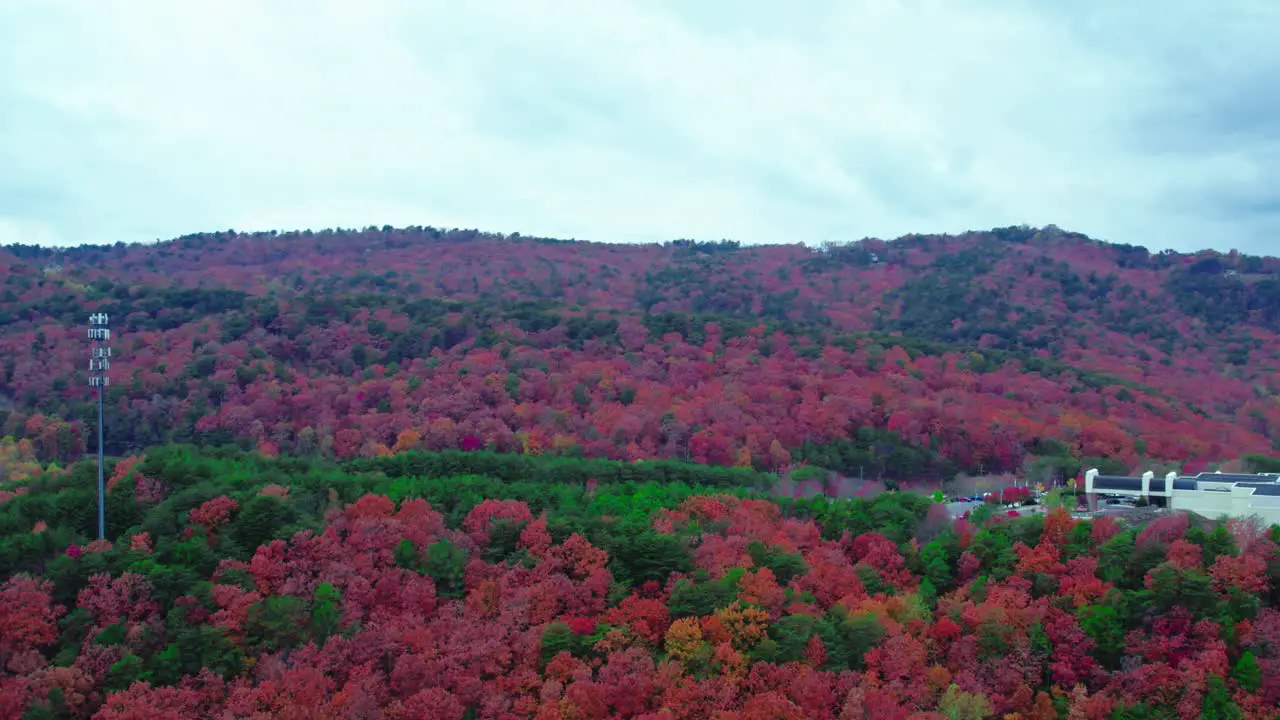 5G Cell phone tower in a forest during fall season