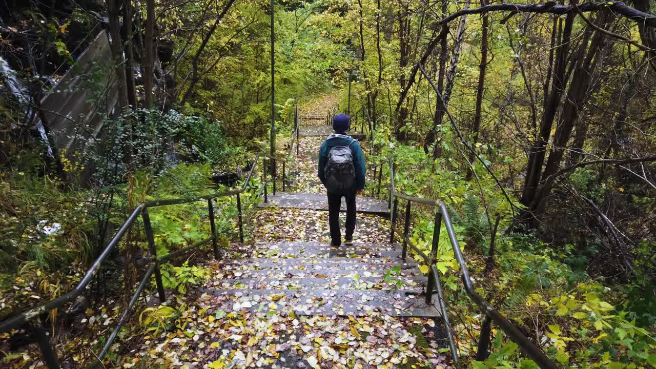 Traveler on Nature Staircase in Sweden Forest