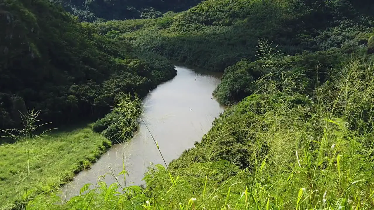 HD Slow motion Hawaii Kauai static overlooking canoers on 'Opaeka'a Stream with long grass in foreground