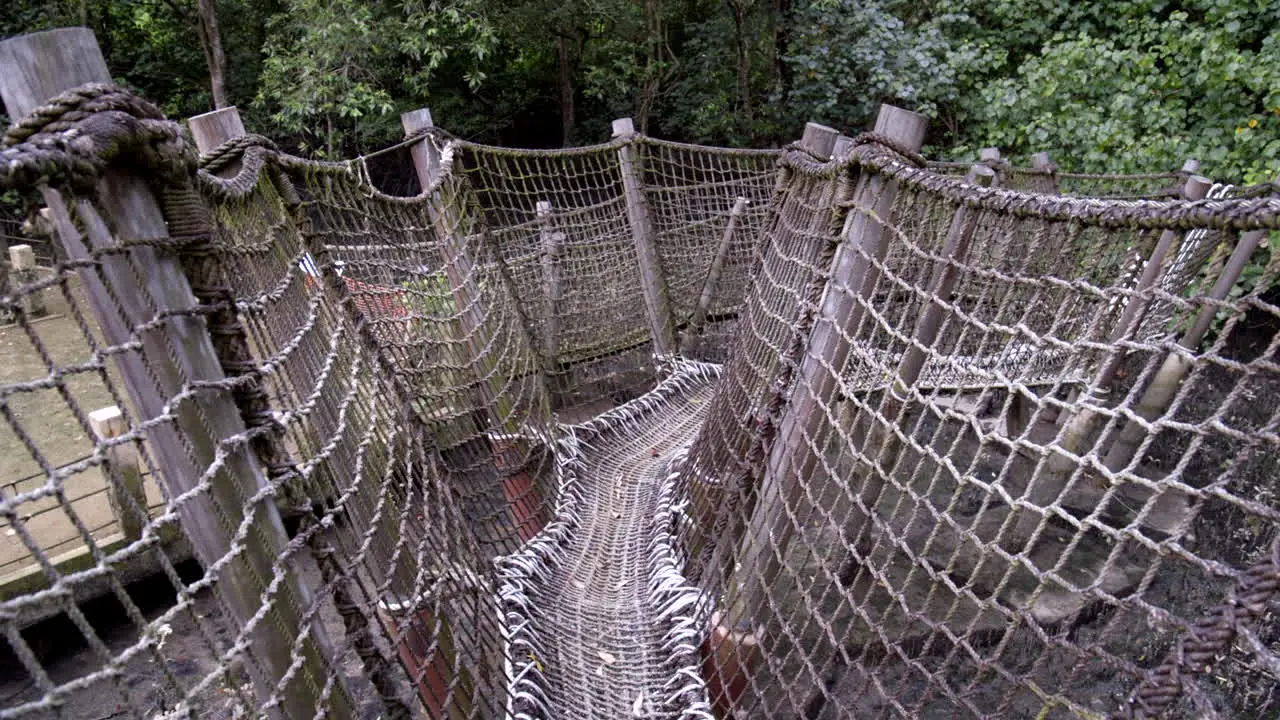 The scary rope bridge in a nature park in Singapore wide shot