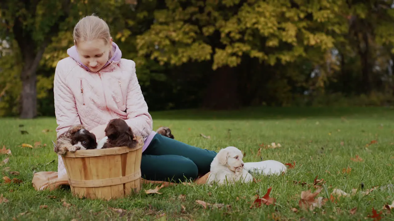 Teen girl in autumn park playing with puppies on lawn