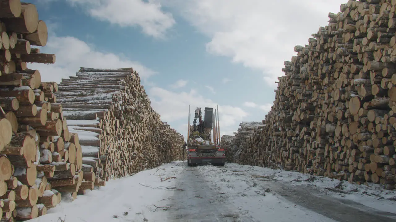 Winter logging operation with machinery loading cut wood piles under a cloudy sky