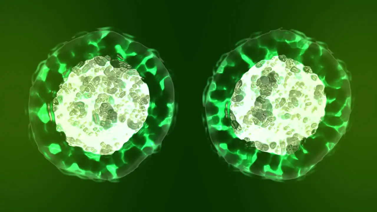 Cell division Mitosis 3d animation with green tone