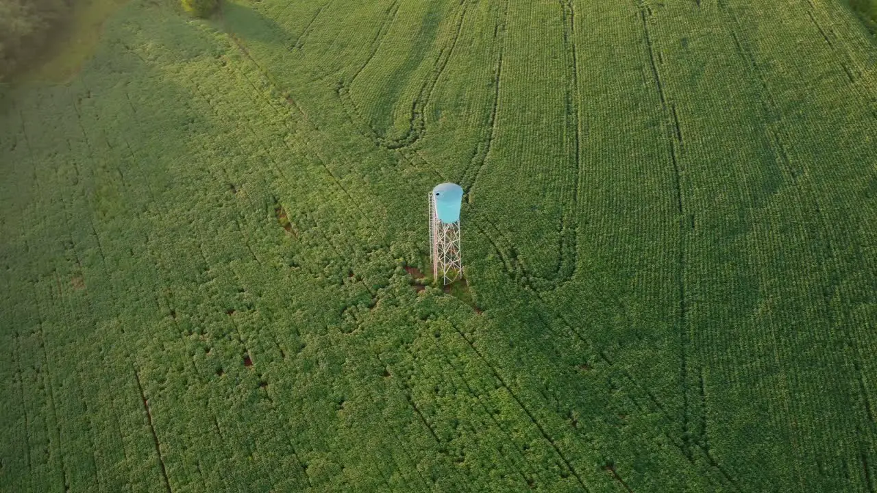 soy plantation south of brazil sunset drone water box