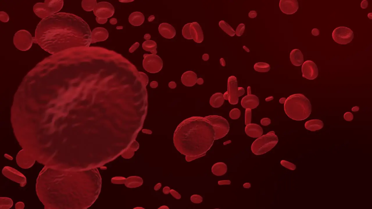 Red Blood Cells