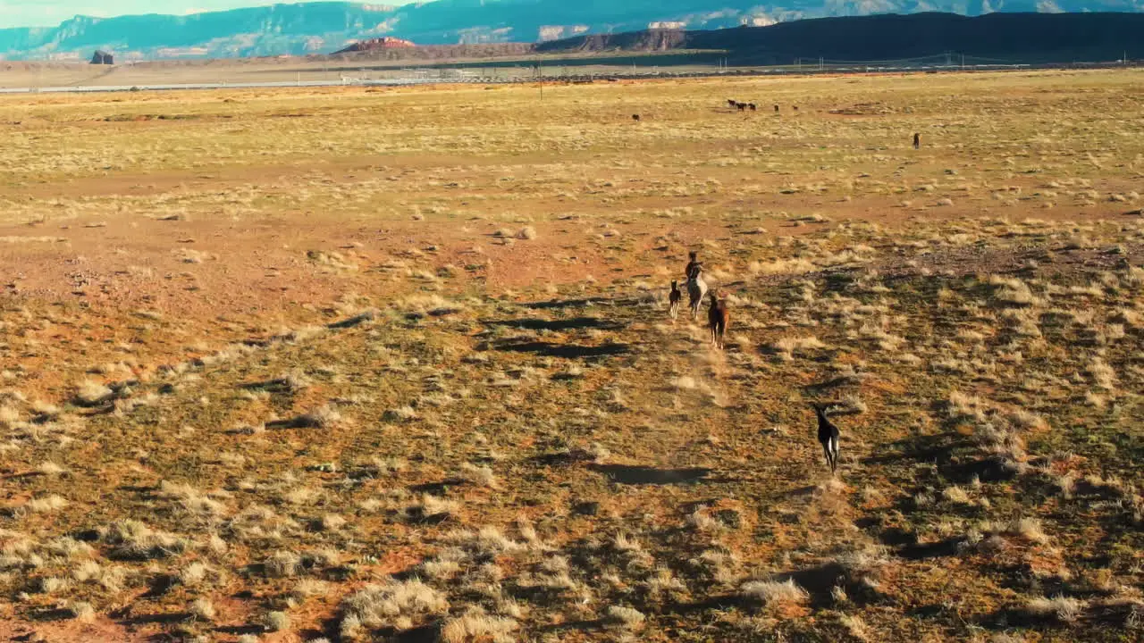 Aerial footage of wild horses running in Arizona