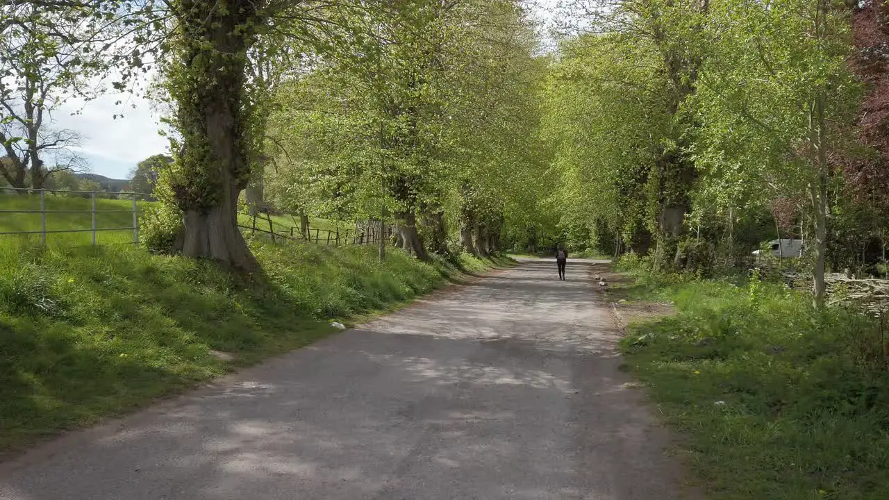 Senor lady having a lonely gentle stroll in the country