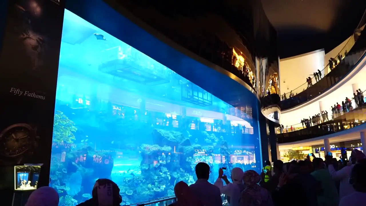 People watching the Dubai Mall Aquarium