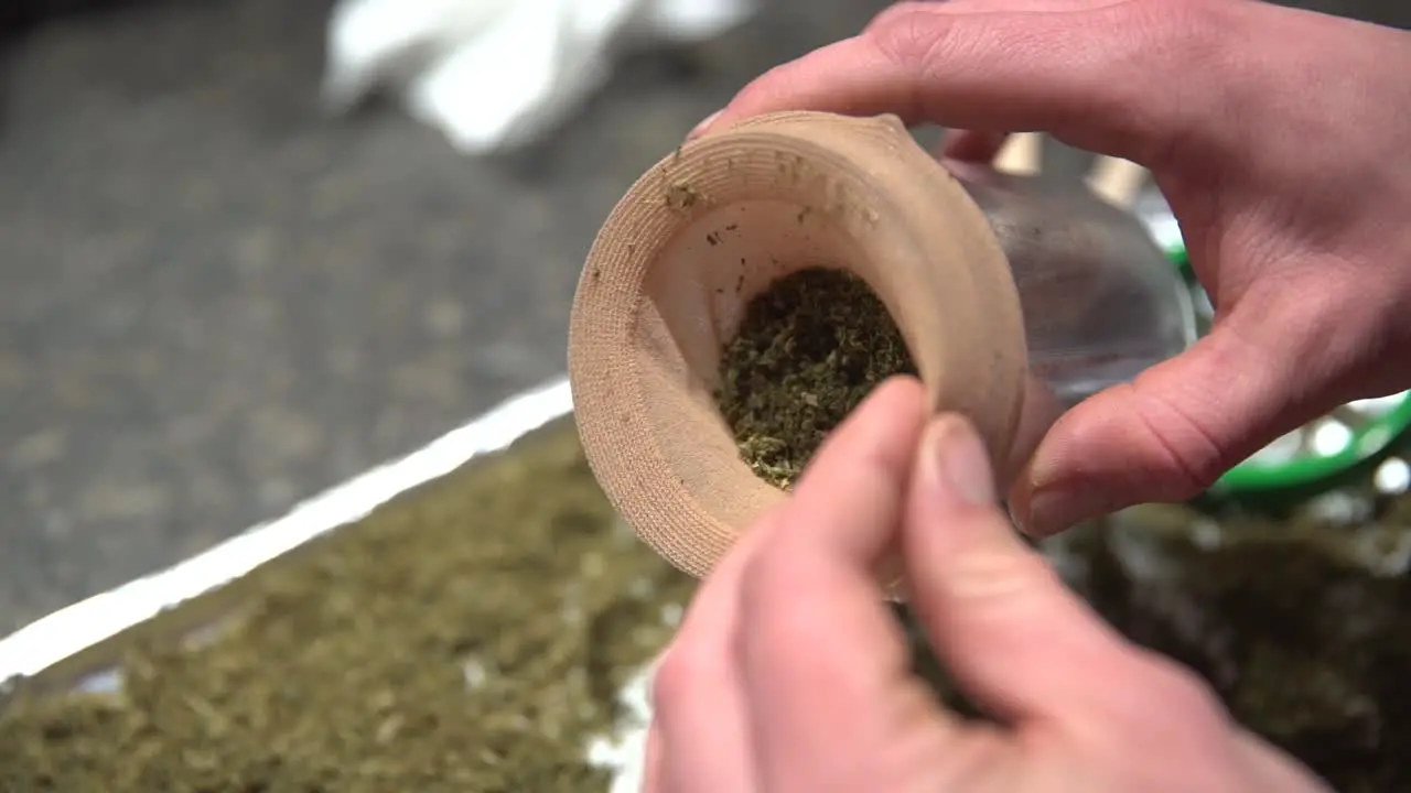 Ground up marijuana flowers being added to porous pantyhose bag for steeping