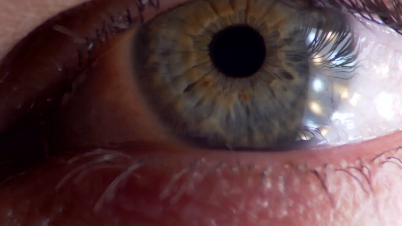 Pupil and Iris of Human Eyeball Close Up Detailed Macro