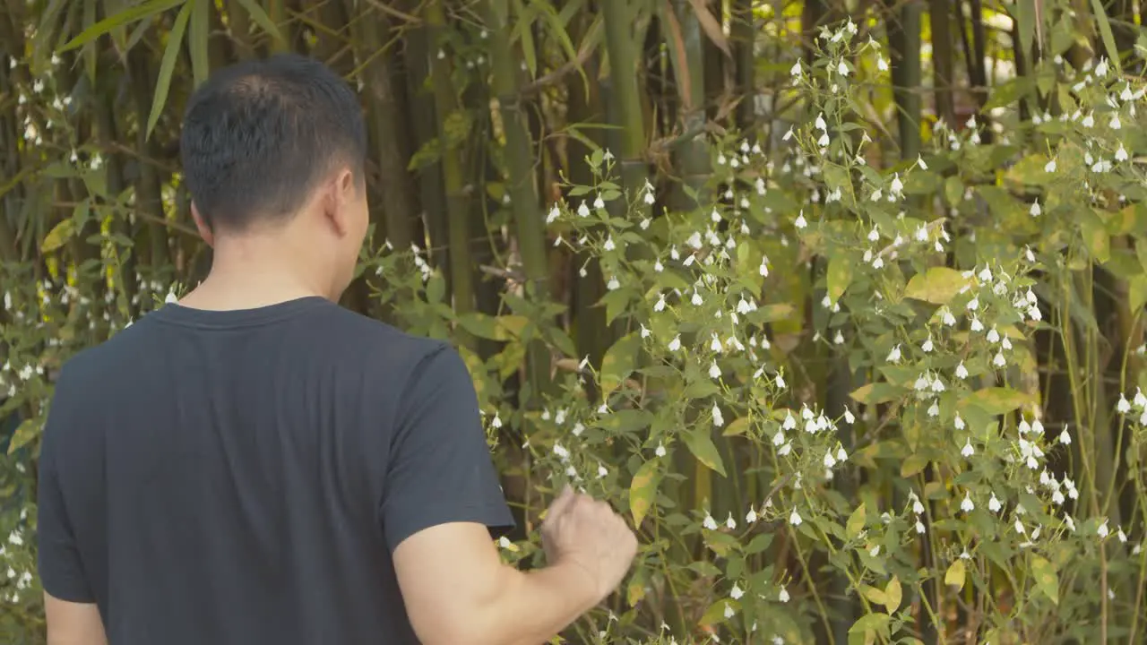 A man tries to enjoy the flowers in a bamboo grove but is annoyed by his irritable itchy scalp and dandruff or lice