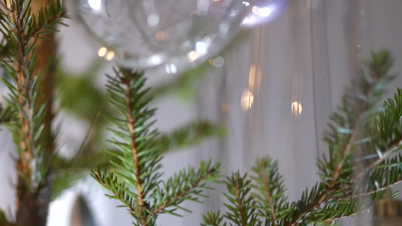 Christmas Baubles hanging in real authentic Christmas tree Close up tilting down