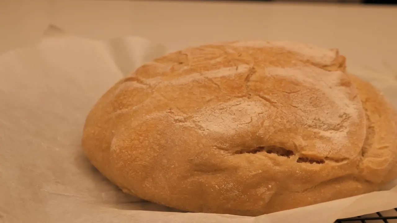 Slow motion pan around full freshly baked loaf of sour dough bread topped with flour sitting on kitchen bench with tea towel and tray low depth of field