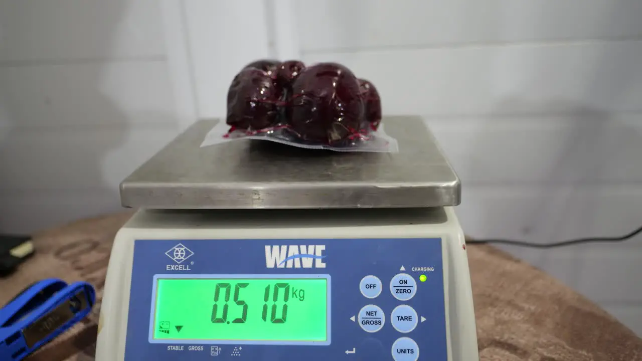 Food worker testing weight of sealed beet vegetables in the factory