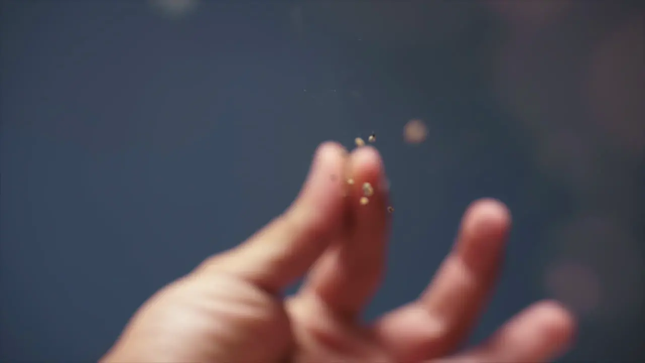 Chef's hand in slow motion sprinkling peppercorns on a dish extreme shallow depth of field pornfood style with blue background