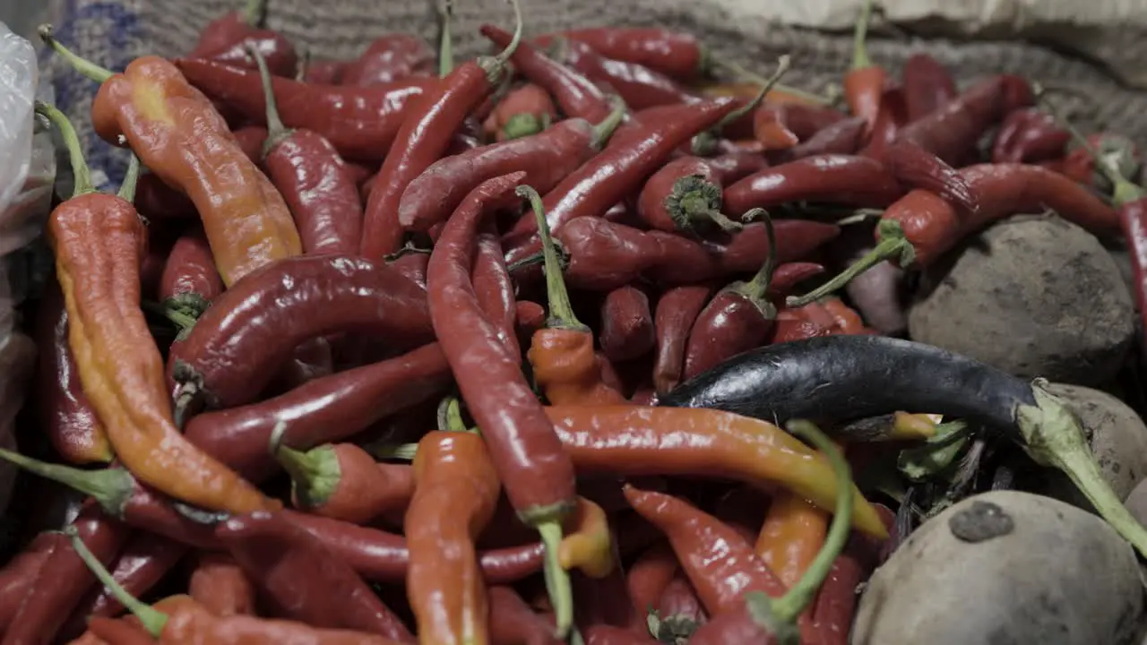 Giant red chilli pepper at vegetable store for sale at evening