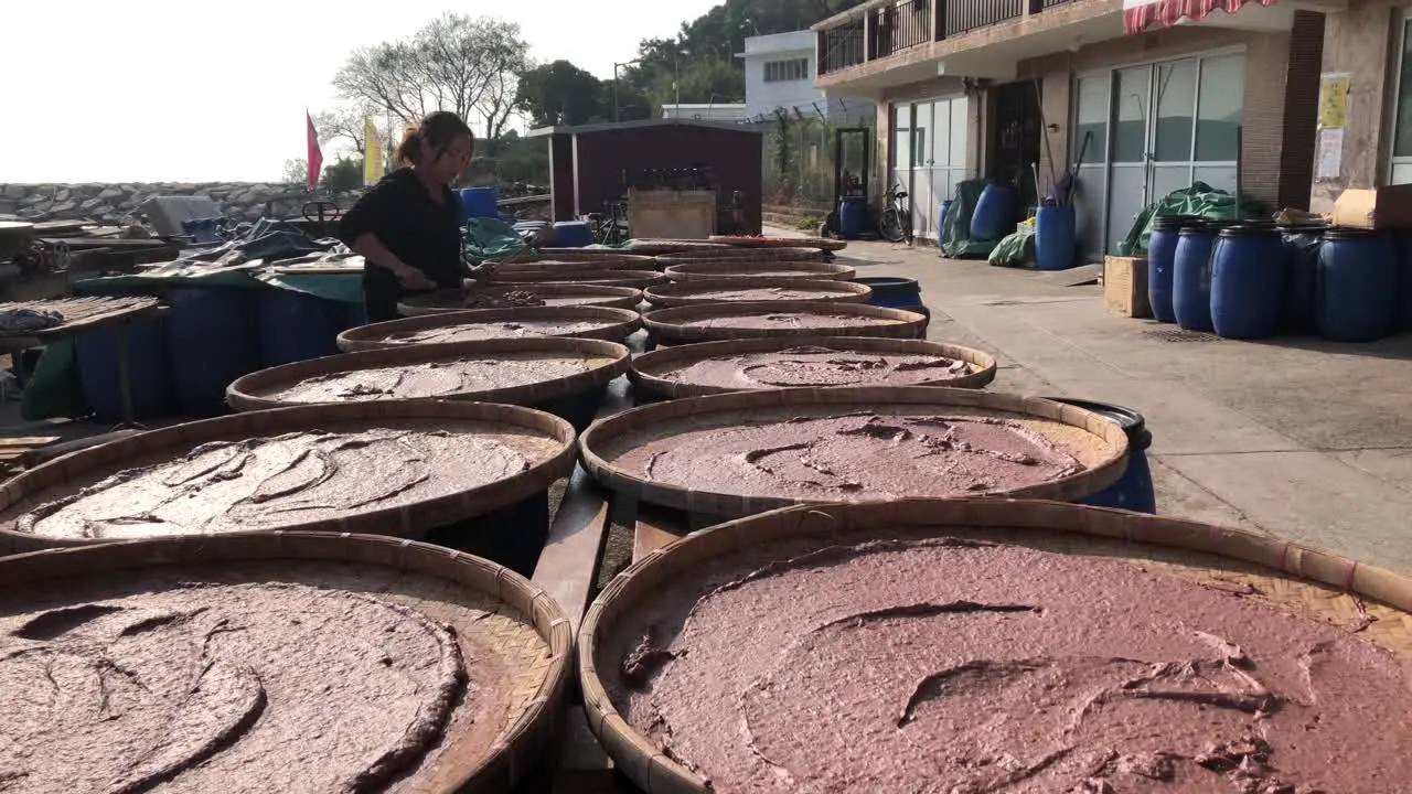 Lady prepares shrimp paste in the traditional way to sell to tourists in Tai O Hong Kong China