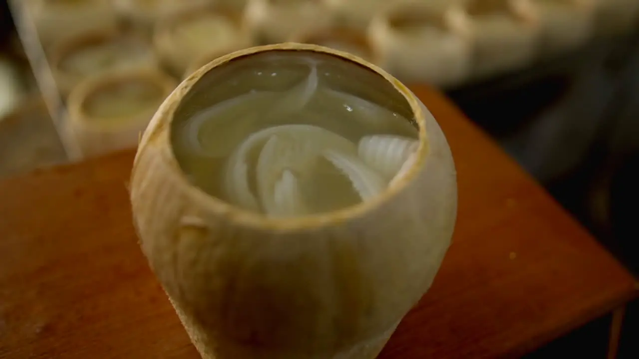 Coco Jelly in a coconut shell with coconut water jelly and roasted coconut pulp traditional thailand street food