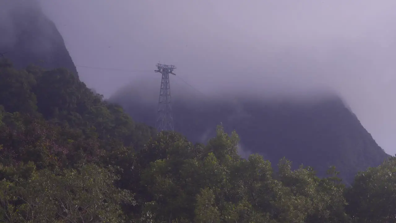 Low angle static shot of high voltage electric tower in forest