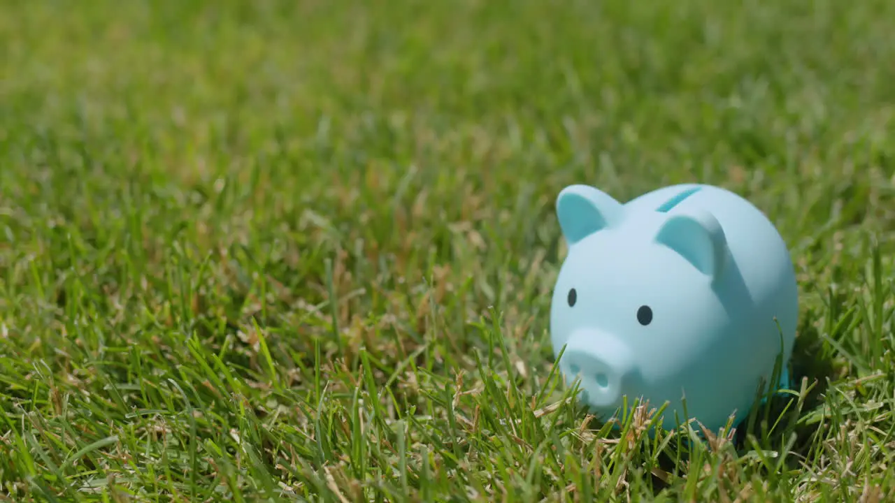 A man puts coins in a piggy bank that stands on a green lawn