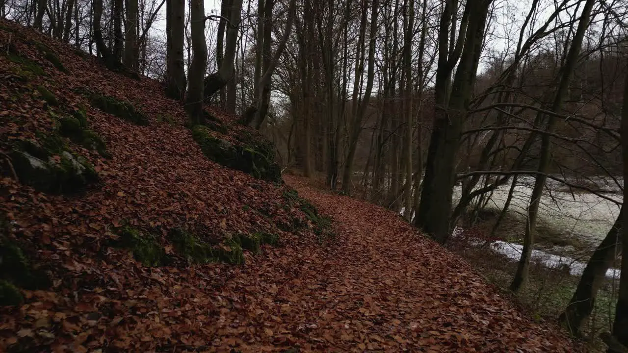 path near stones in winter