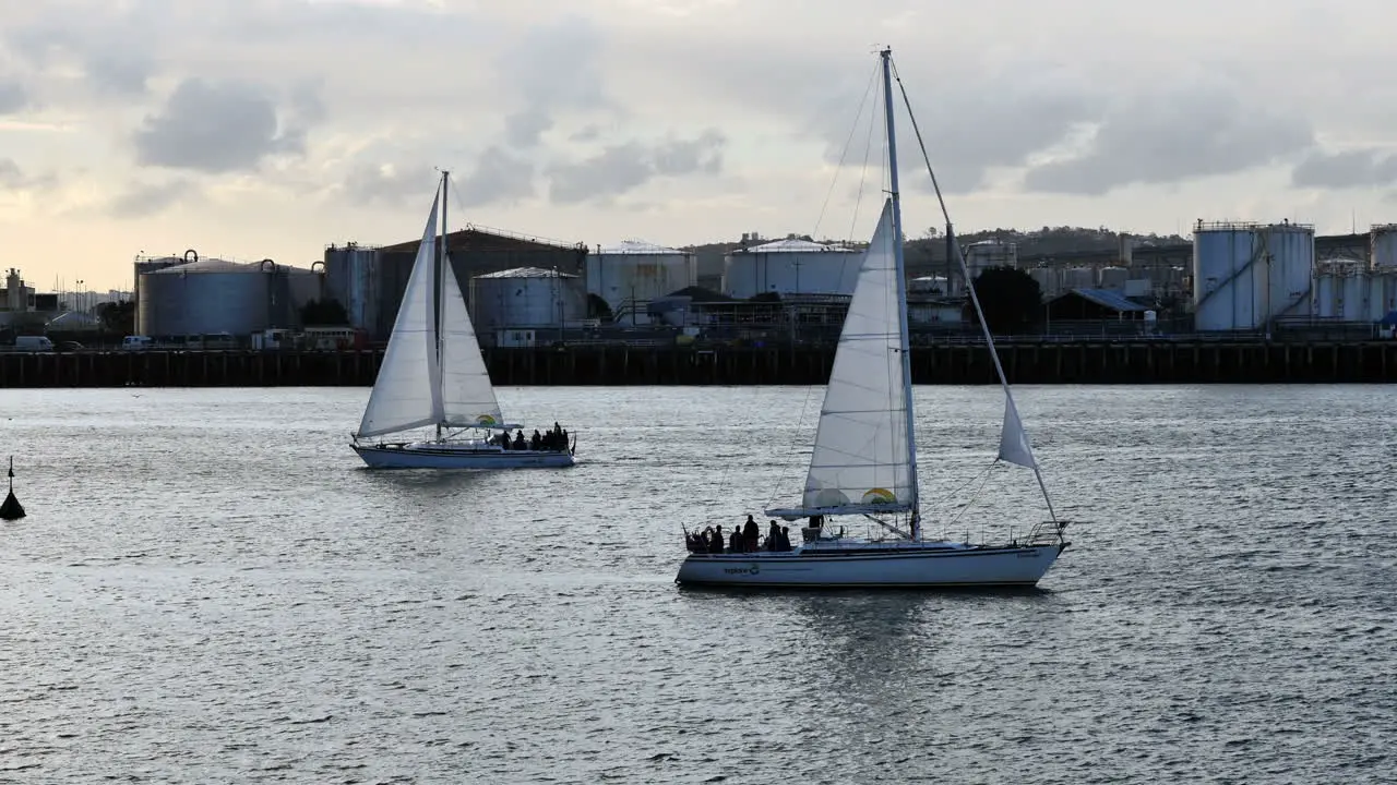 New Zealand Auckland Bay Sailboats Passing