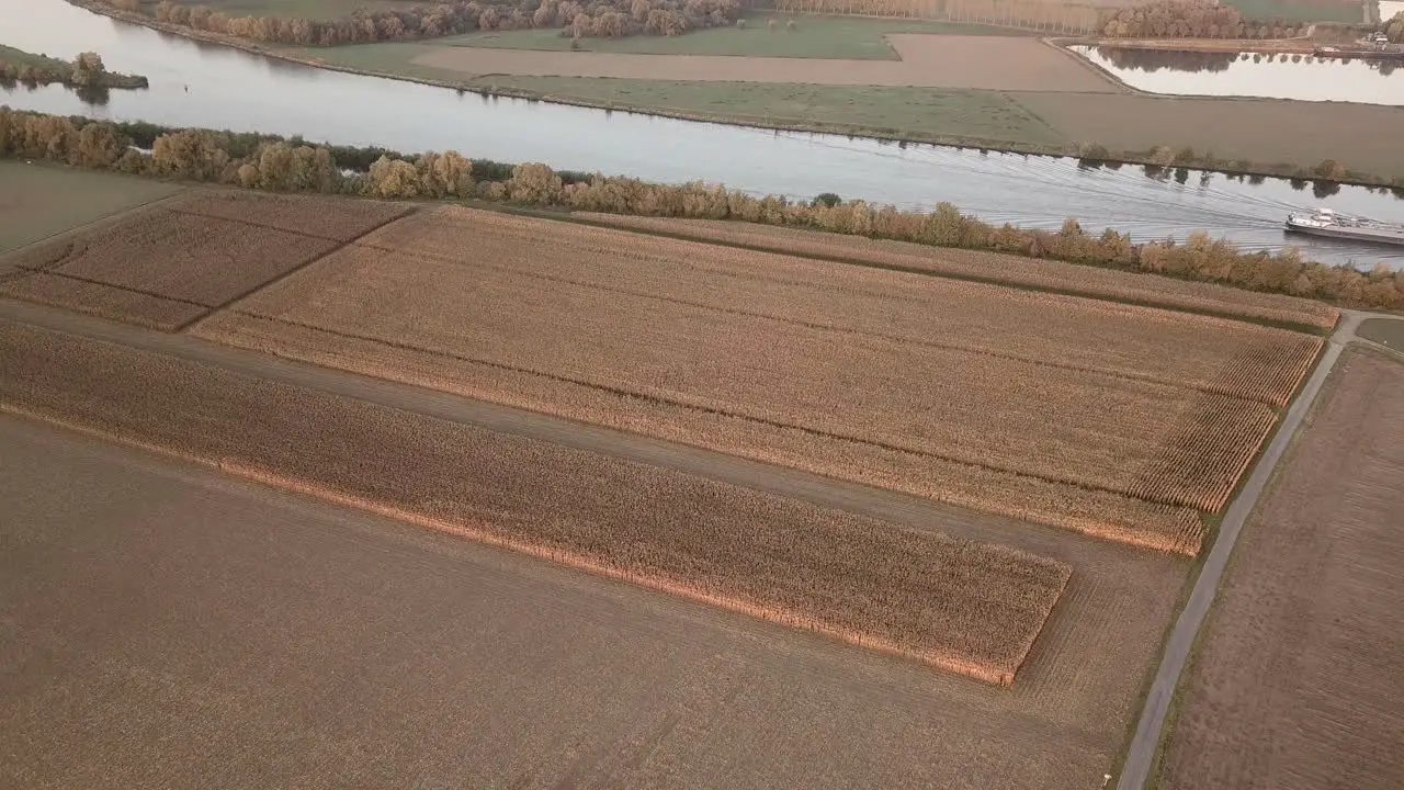 aerial of a beautiful cornfield next to a river