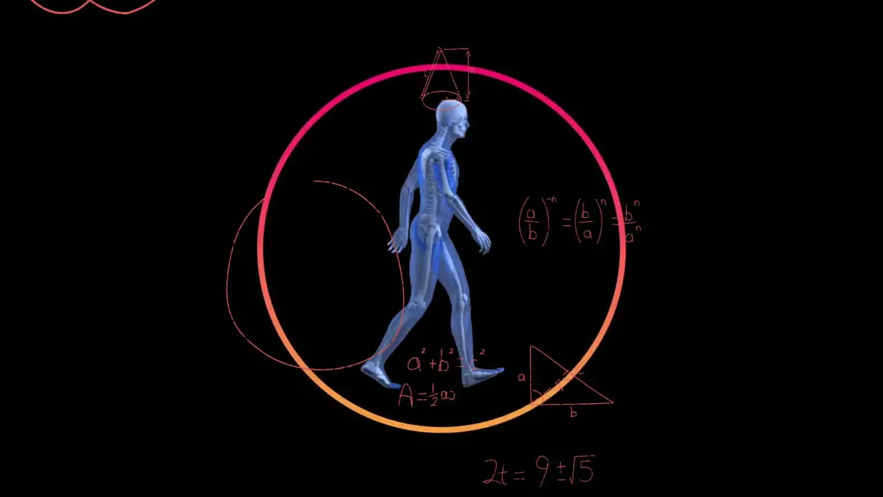 Animation of walking skeleton over mathematical equations