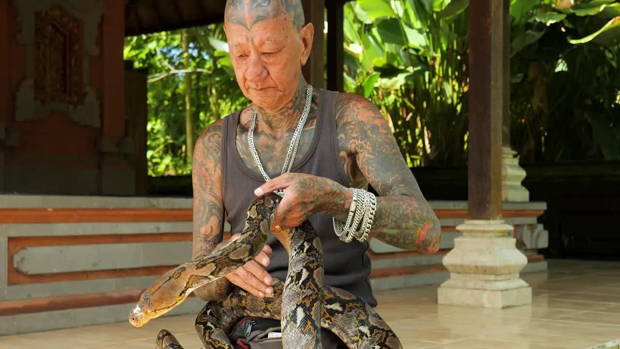 Slow motion parallax shot of a traditional snake tamer in a balinese temple wearing a snake around his neck and elegantly controlling it in bali indonesia