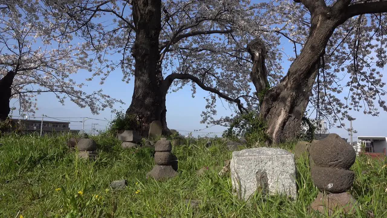 Small rock statues or tombstones inside green nature setting outside