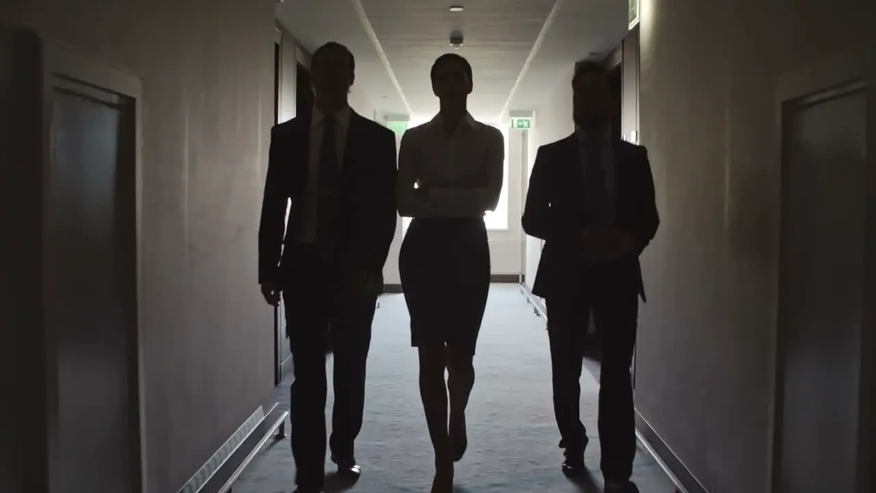 Two Businessmen And A Businesswoman In Elegant Clothes Walking Down A Corridor