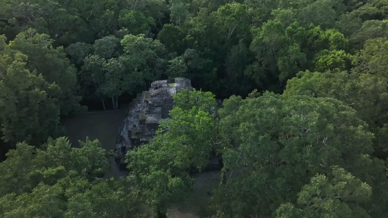 Reveal shot of old mayan ruins at yaxha in middle of jungle aerial