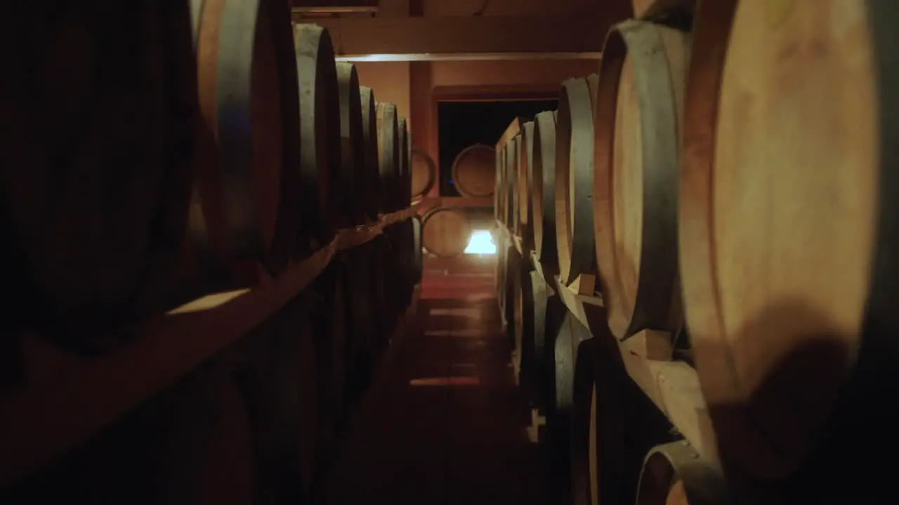 mid shot of wooden barrels in distillery