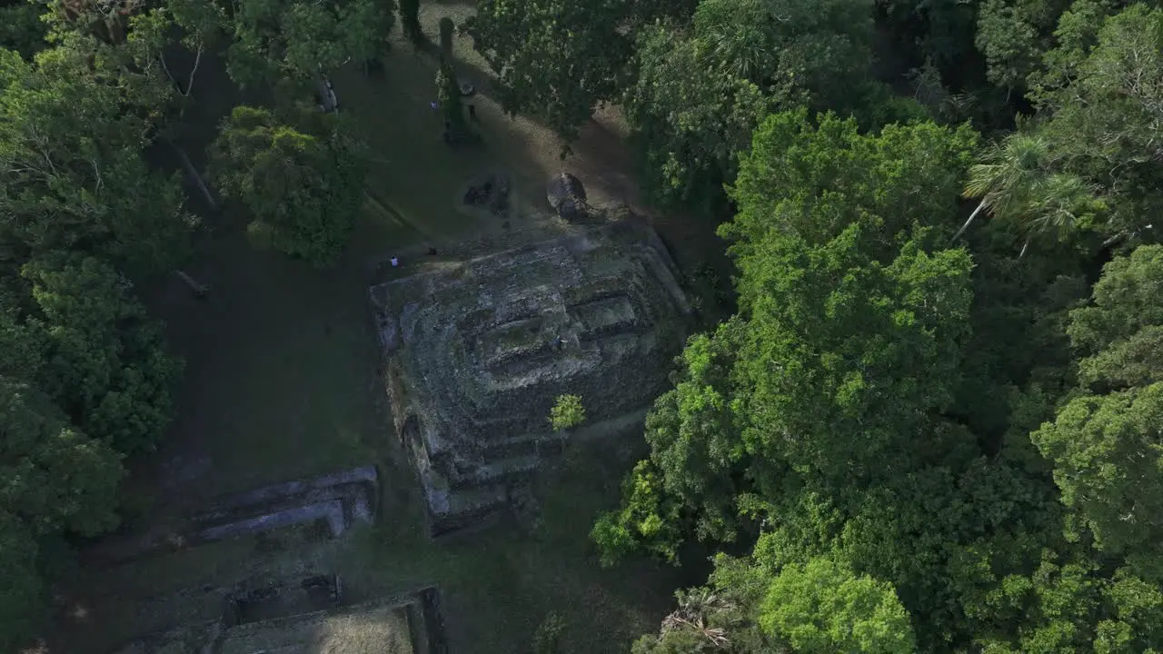 Peten jungle with old mayan ruins at Yaxha Guatemala between trees aerial